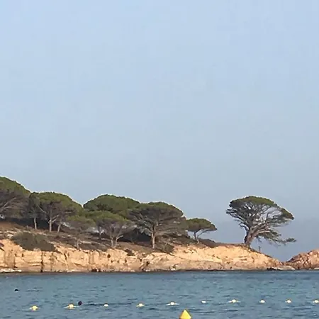 Stellafiorita * Porto-Vecchio (Corsica)