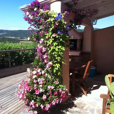 Stellafiorita Porto-Vecchio (Corsica)
