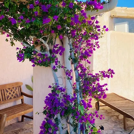 Villa Stellafiorita Porto-Vecchio (Corsica)
