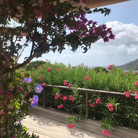 Stellafiorita * Porto-Vecchio (Corsica)
