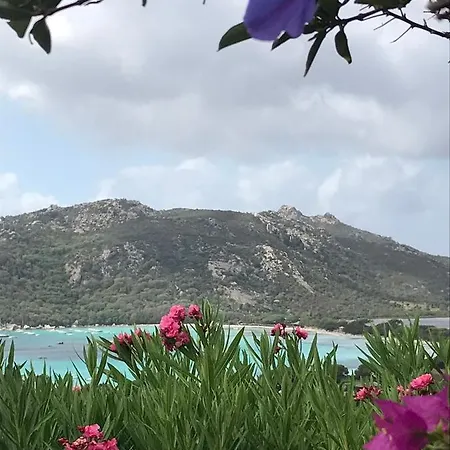 Villa Stellafiorita *